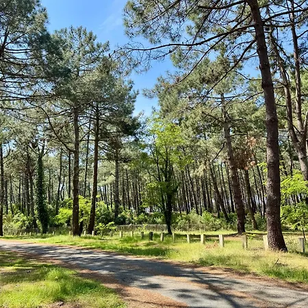 Elara Villa Pontenx-les-Forges